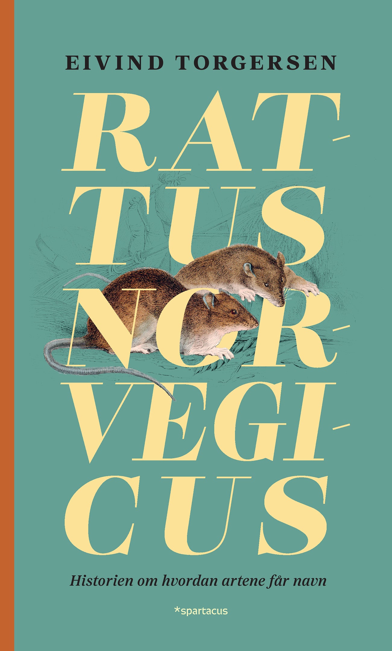 Rattus Norvegicus. Historien om hvordan artene får navn